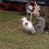 foire-haricots 2011-09-17et18